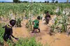 Bidivesity-climate-change
