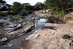 Biodiversity-Conservation-Effects-of-climate-change-photo.-