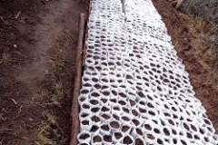 Biodiversity-Conservation-tree-nursery-photo-1