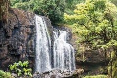 Biodiversity-Conservation