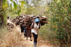 Biodiversity-conservation-14