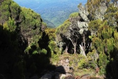 Biodiversity-conservation-4