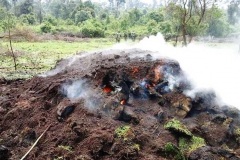Biodiversity-conservation-5