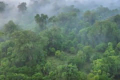 Biodiversity-photos