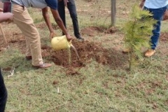 Biodiversity-project-photo-27