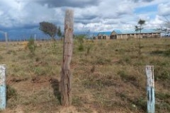 Biodiversity-project-photo-83