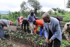 Biodiversity-tree-planting-2