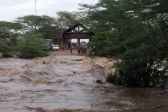 Biodiversity_Floods.-1