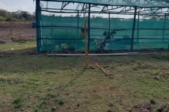 Biodivesity-Nursery-photo.9