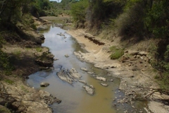 MAU-FOREST-RIVER